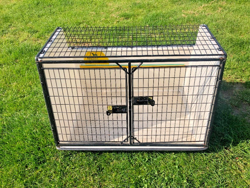Lintran large dog - lintran,
