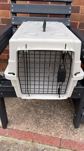 Small dog large cat - small,