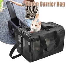 Kitten Carrier Airline