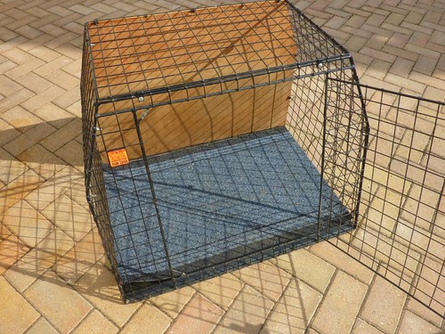 Dog crate transit - -,