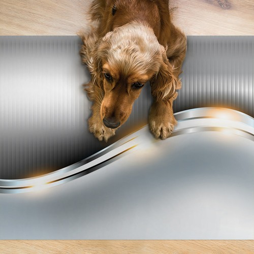 Pet dog puppy - pet,