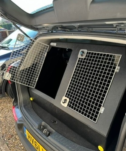 Dog box - dt,