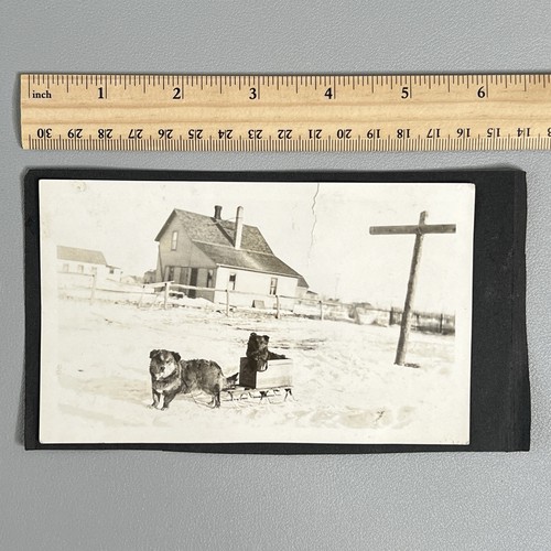 Vtg 1920s novelty dog - vtg,