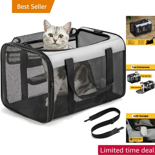 Collapsible cat and - cat,