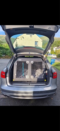 Boxes double dog crate - boxes,