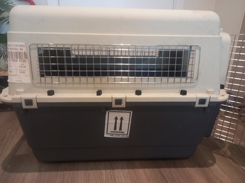 Comfortable dog crate used - comfortable, crate,used